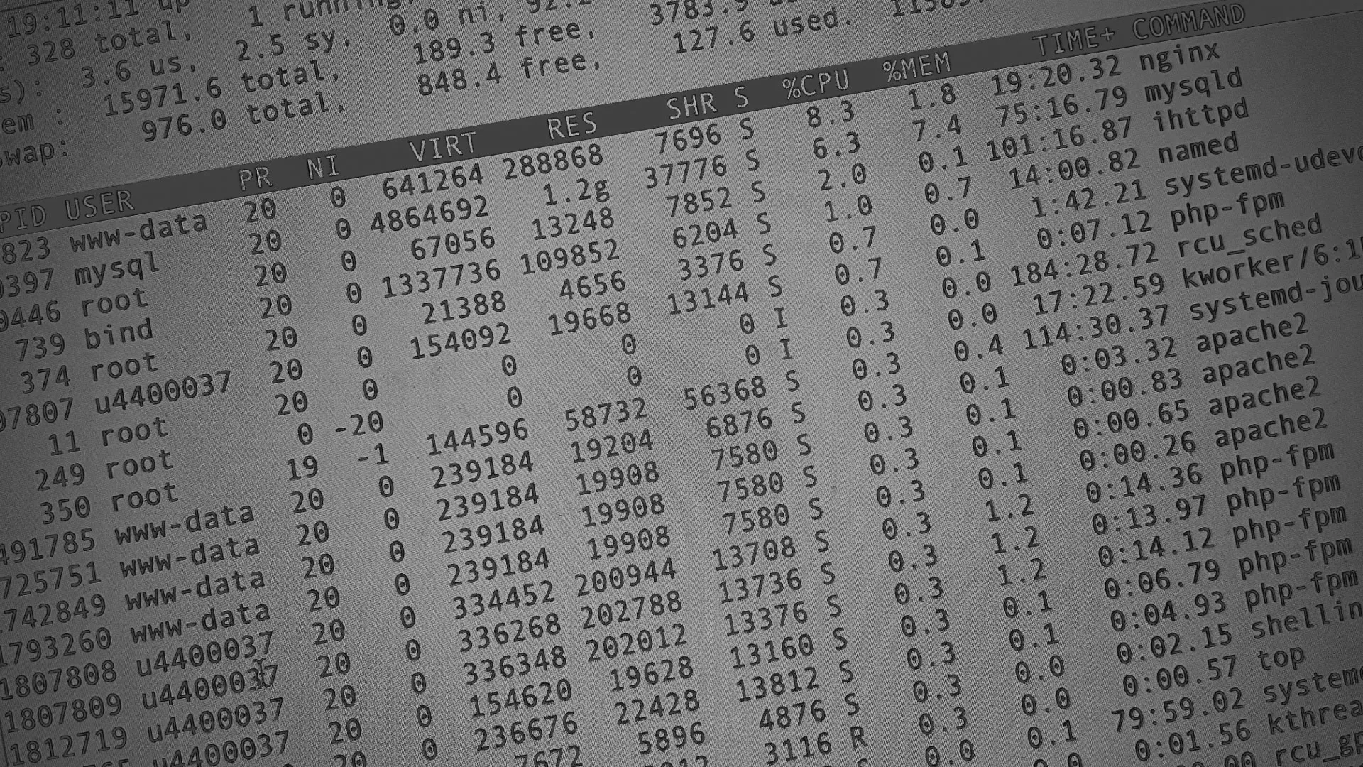 Настройка сервера в Пересвете